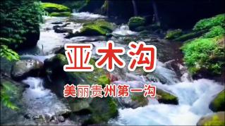 病菌猎人